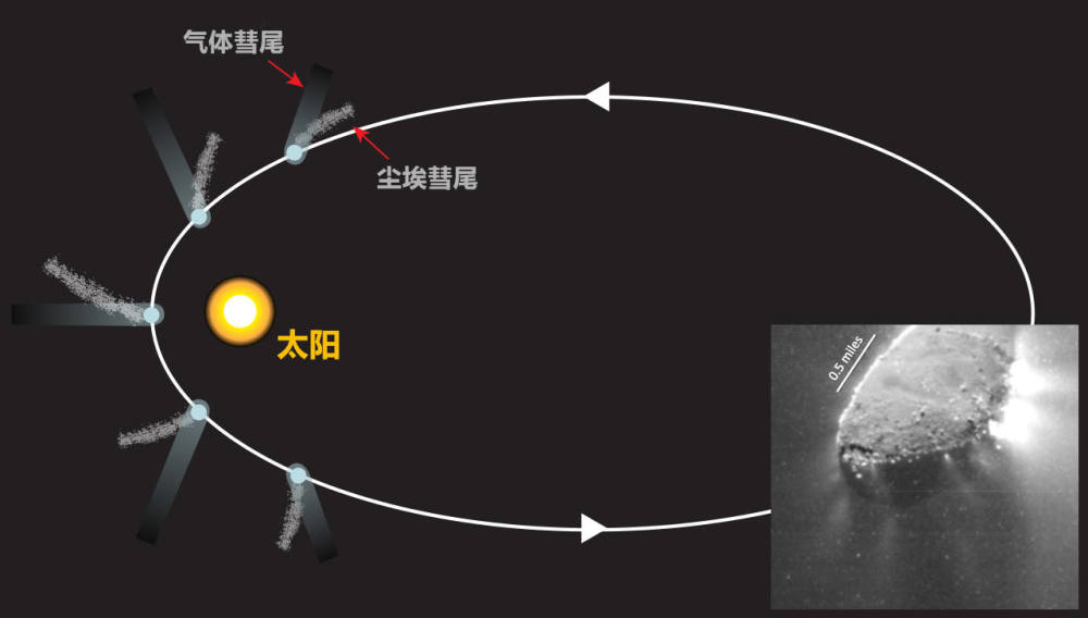 哈雷彗星绕太阳运行周期