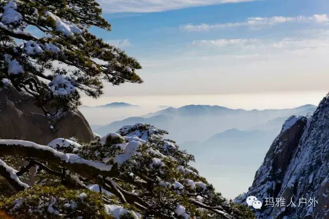 黄山金色雪景震撼来袭，奇松、怪石、云海、温泉皆成画卷