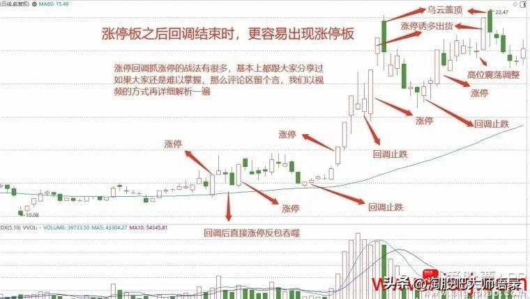 2024年12月 第469页