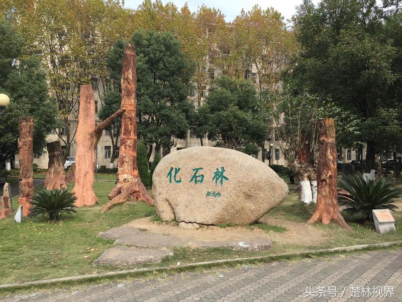 中国地质大学北京与武汉，两校一体？