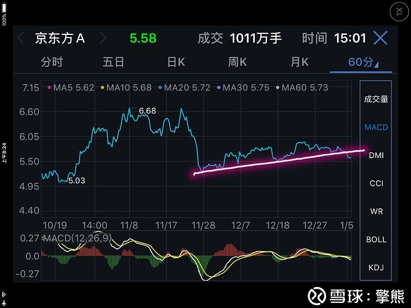 未来大牛股京东方