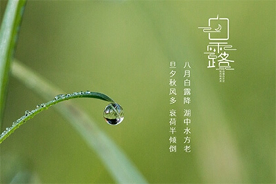 白露节气是几月几日