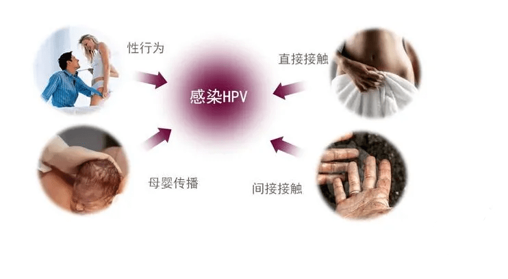 体育器材 第36页