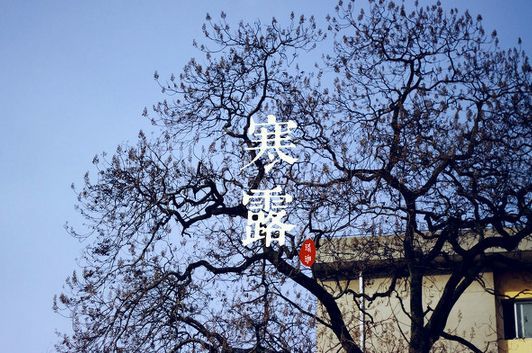 寒露图片，风景、植物、动物精选