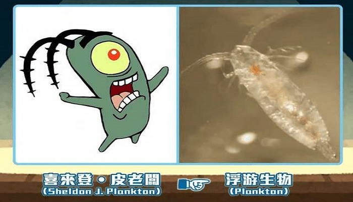 痞老板原型生物揭秘