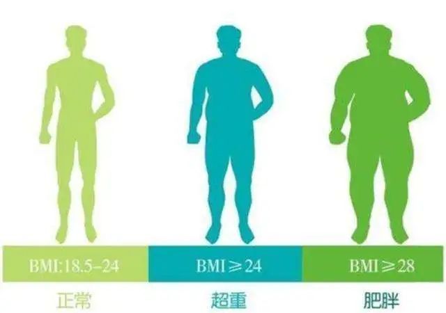 BMI，身体质量的秘密武器