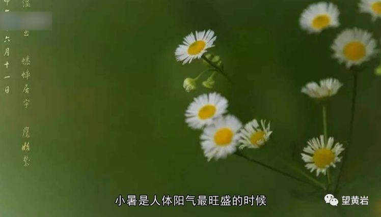 小暑六月节，炎炎夏日，享受清凉一夏